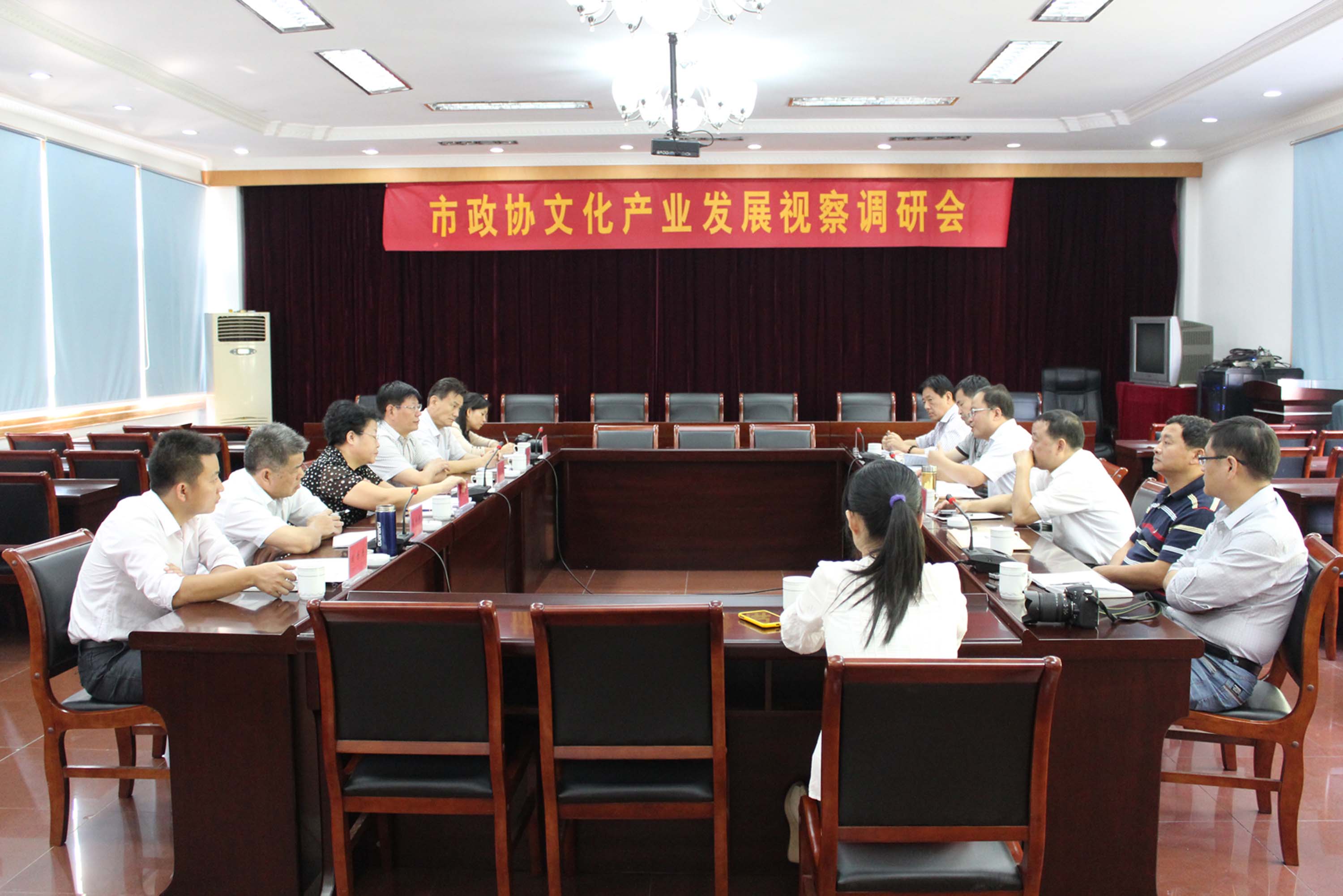 市政協文化產業發展視察調研會在我公司召開