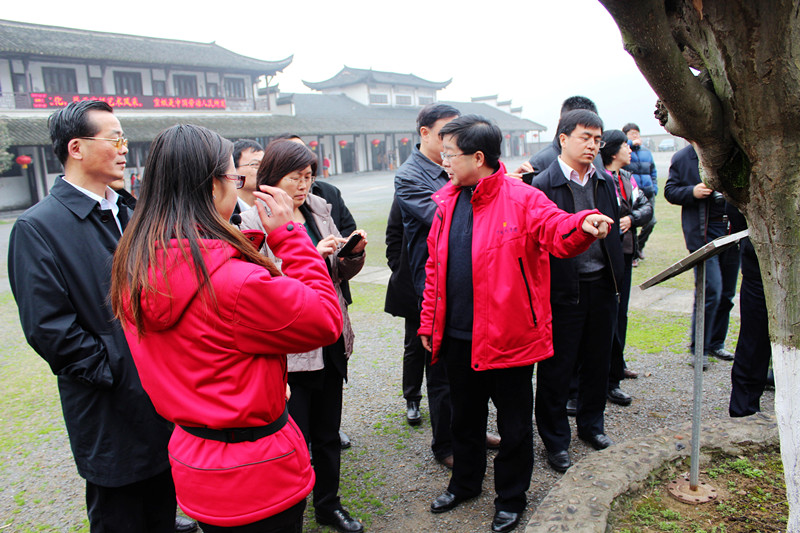 國家部委聯合調研組一行來我公司考察