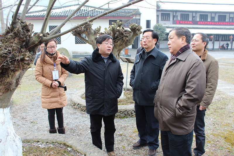 省委常委、省紀委書記王賓宜來宣紙文化園參觀指導