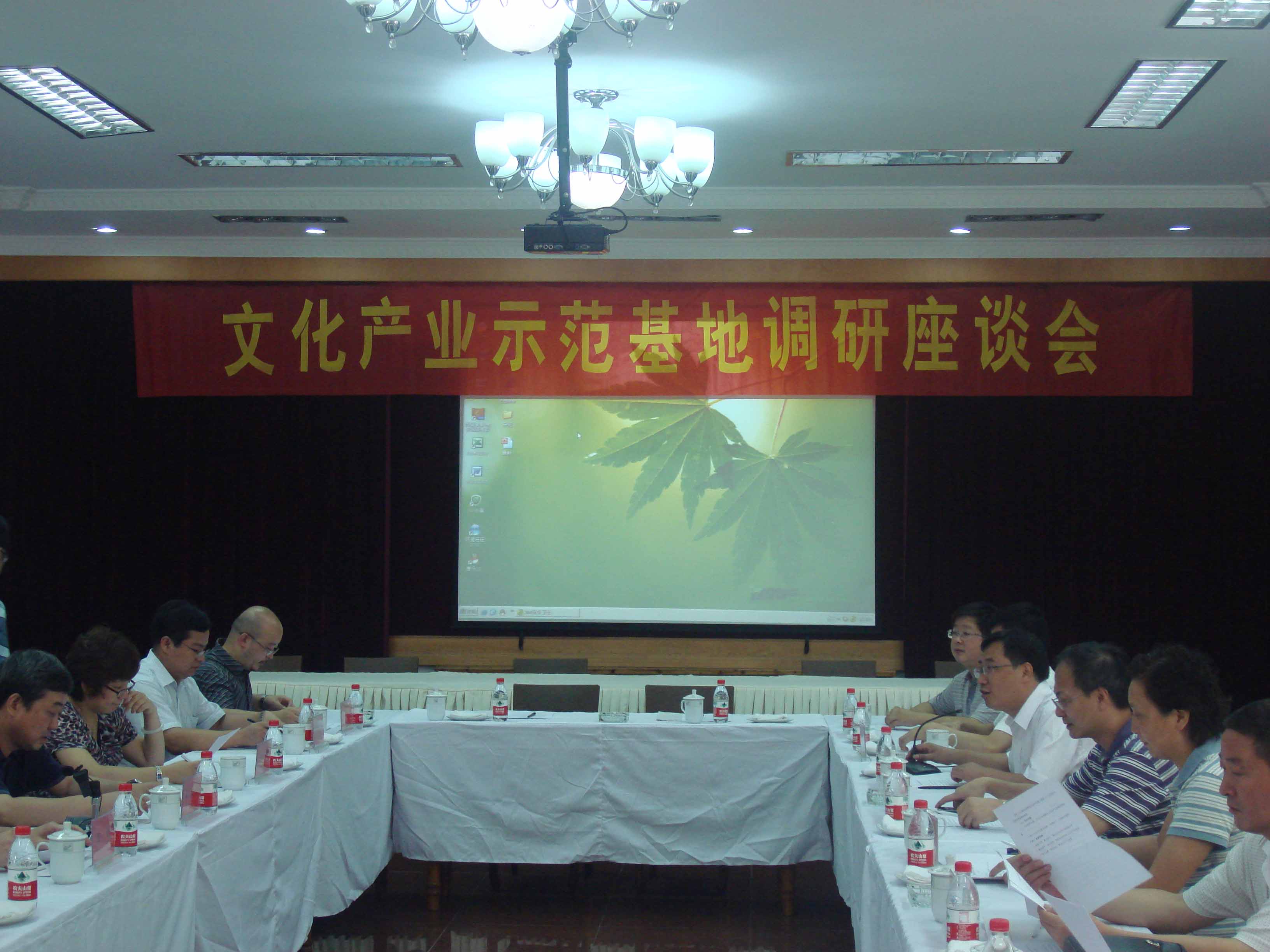 文化部產(chǎn)業(yè)司專(zhuān)家組來(lái)我公司考察調(diào)研