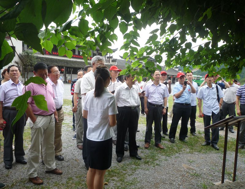 中國書協組聯工作會議代表參觀中國宣紙文化園