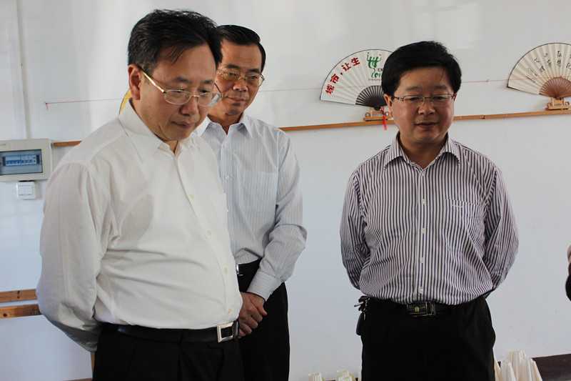 省委常委、副省長陳樹隆來宣紙文化園參觀指導