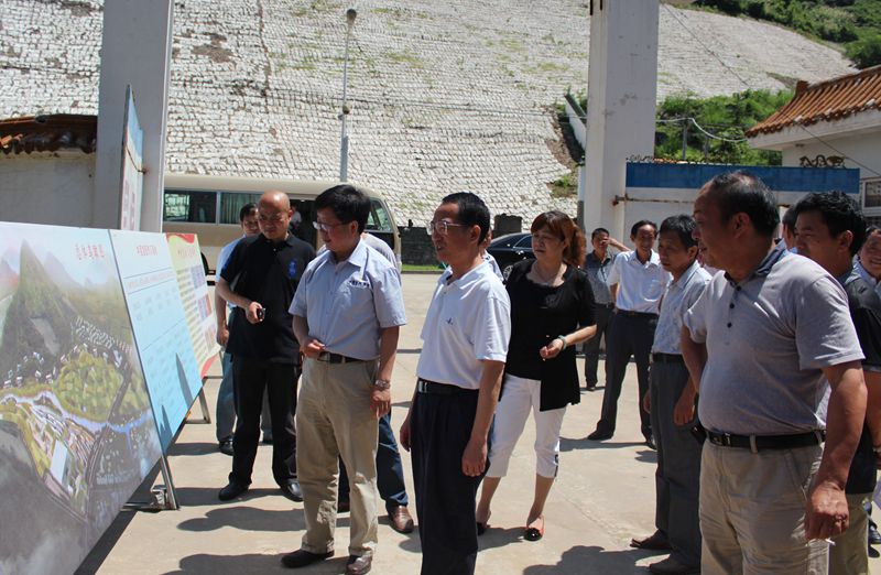 縣人大領導及市人大代表來我公司考察宣紙文化產業發展情況